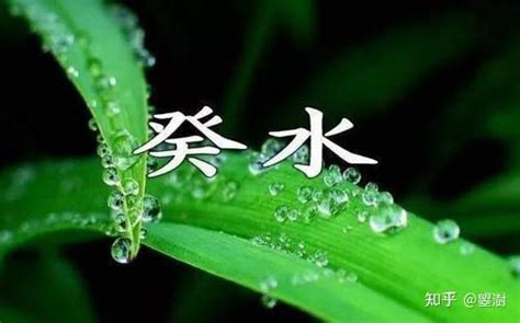 癸水身強|八字十天干詳解——癸水